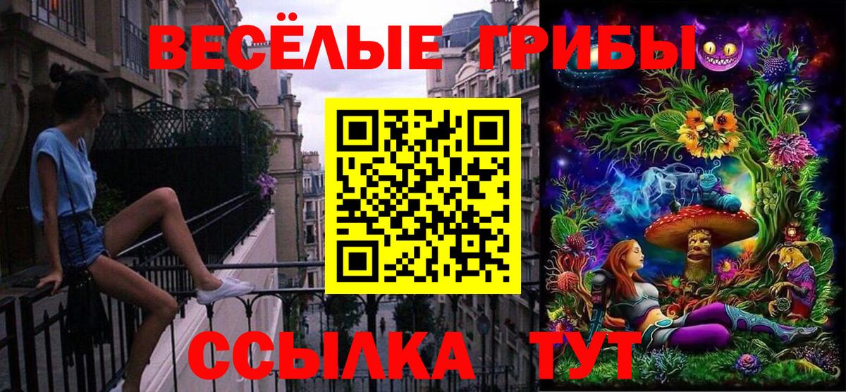 Волоколамск  Псилоцибиновые грибы Psilocybe  Вход с VPN  купить закладку  Псилоцибиновые грибы ЛСД 
