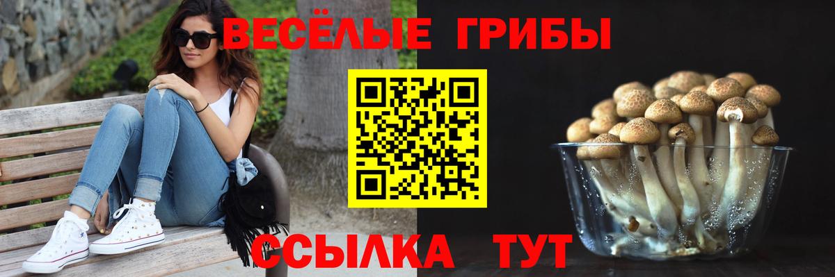 Галлюциногенные грибы ЛСД Волоколамск